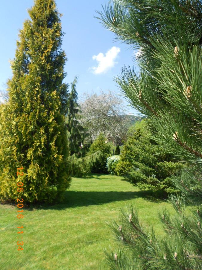 Agroturystyka Zielony Ogrod Scinawka Srednia Экстерьер фото